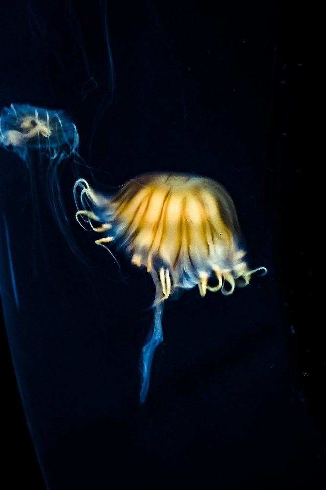 Photograph by Александр Попович