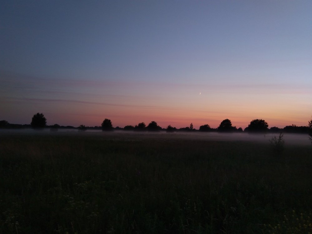 Фотография автора Виктор Конев