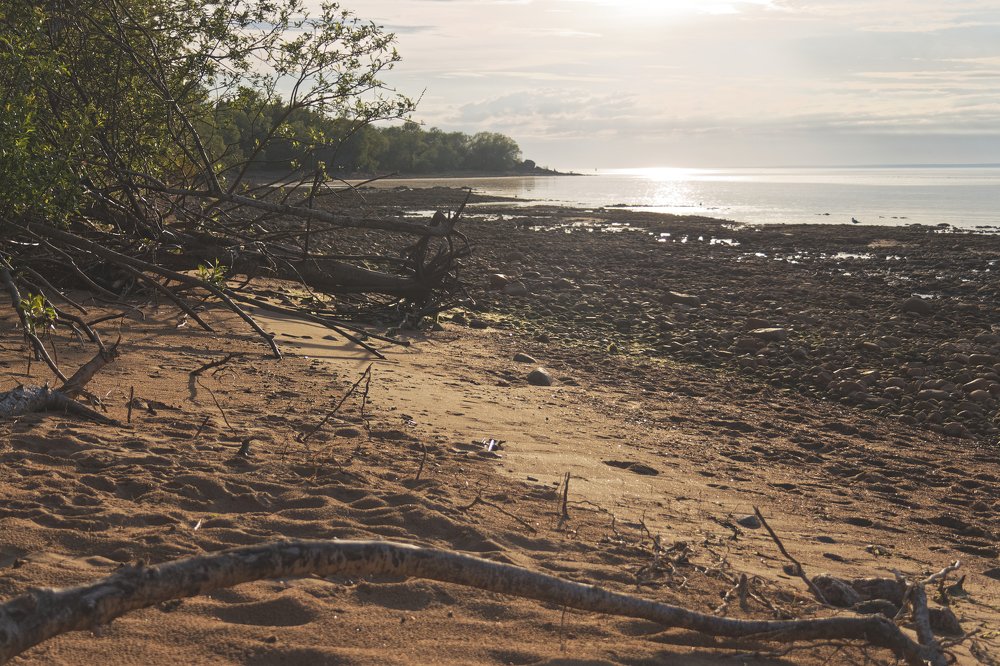 Shore of Kotlin Island