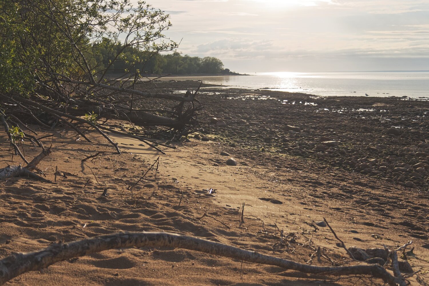 Shore of Kotlin Island