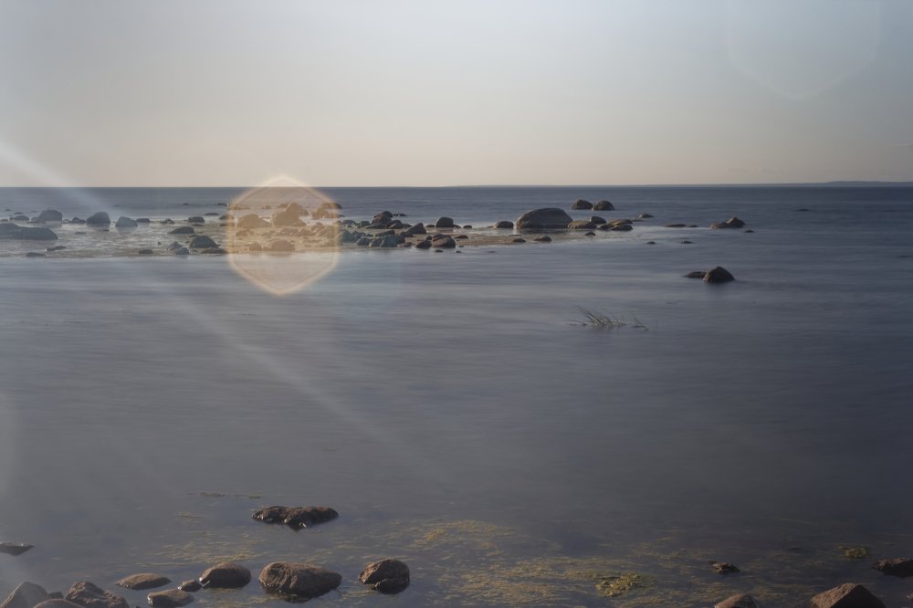 Photograph by Александр Савченко