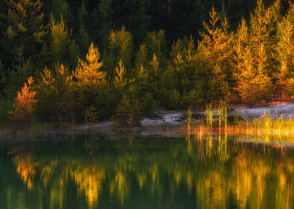 Photograph by Евгений Гецев