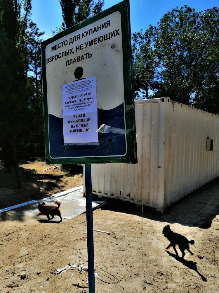 Пока все дома