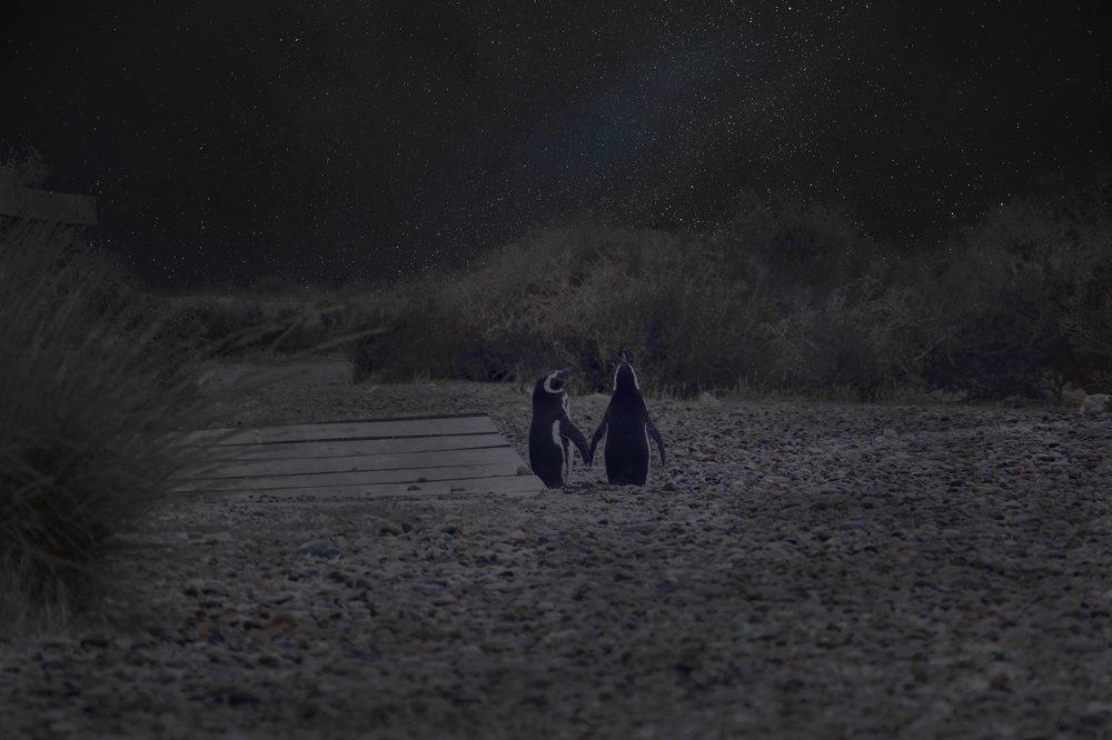 Photograph by Ignacio Carrera