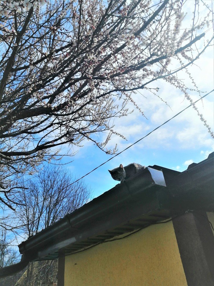 Март по расписанию