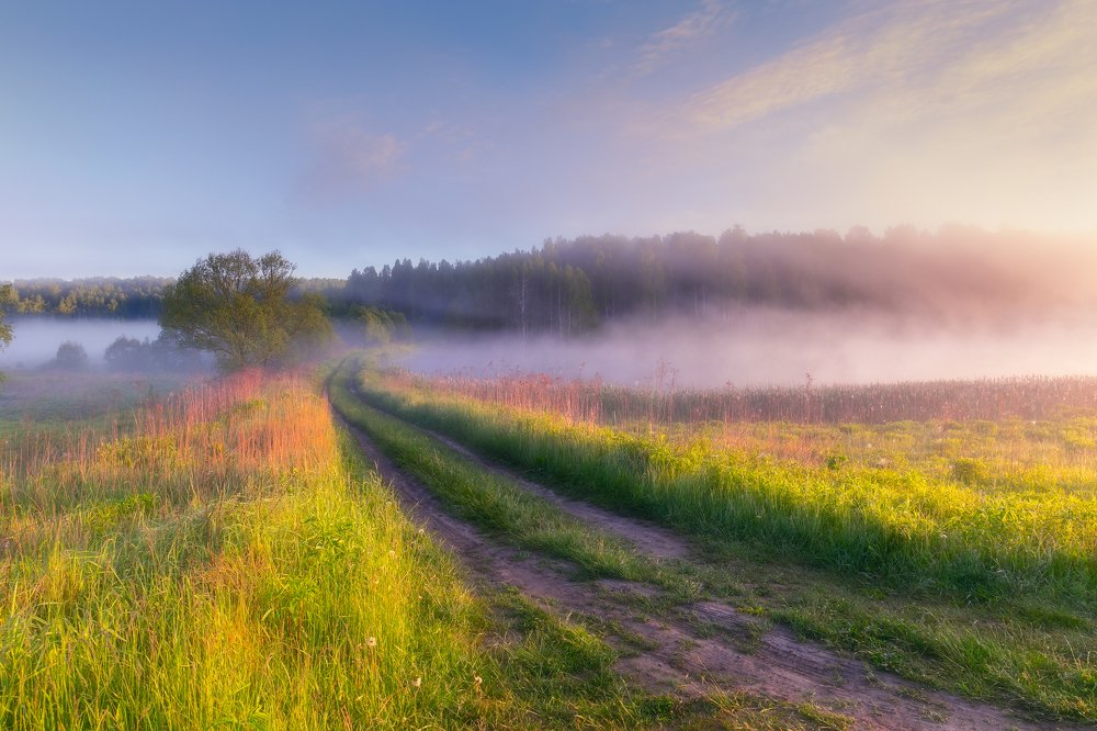Утренняя дорожка