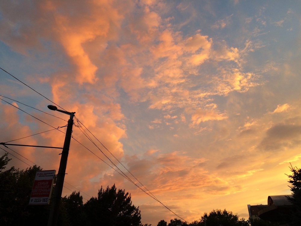 Photograph by Екатерина Вишнякова