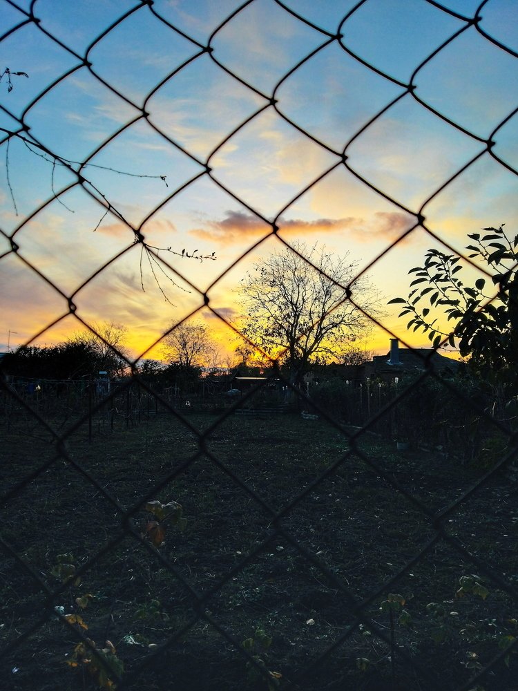 Photo #4691087