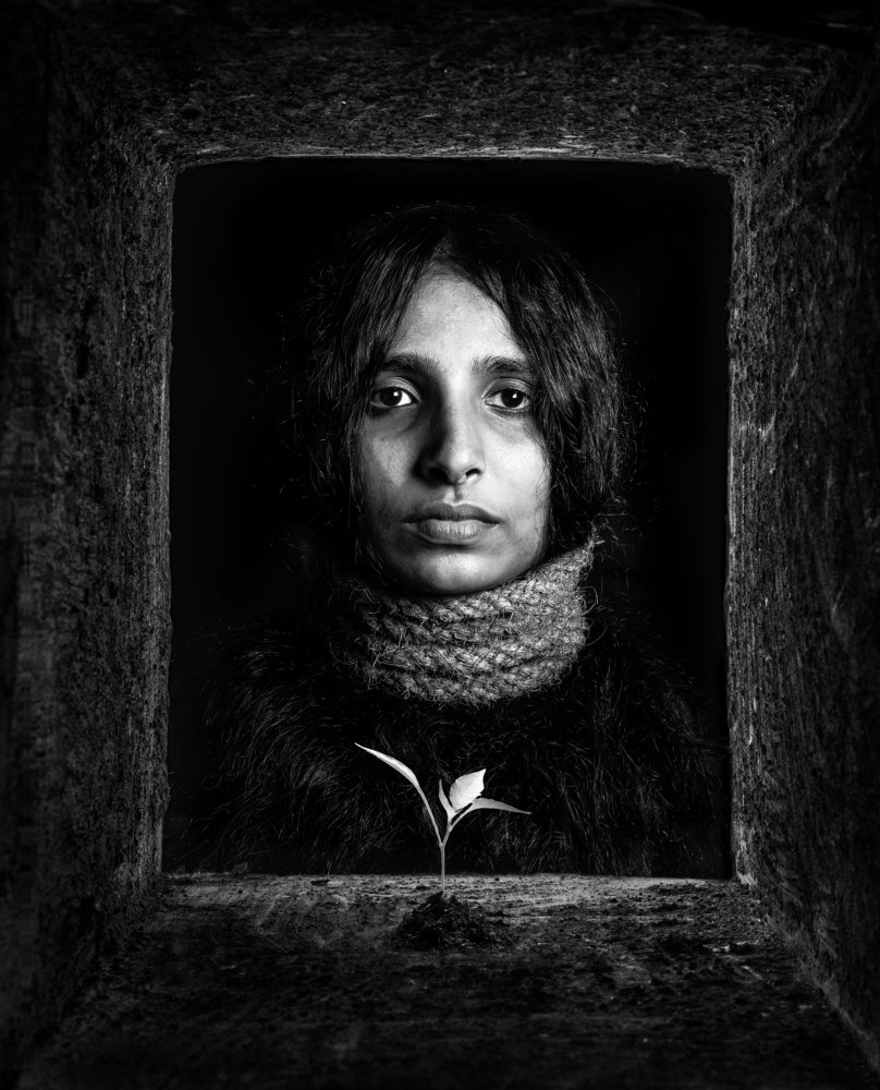 Photograph by Rajitha Jayasinghe