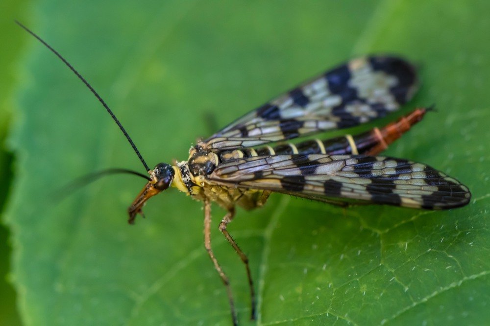 Photograph by Татьяна