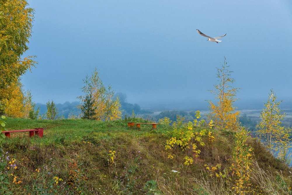 Photograph by Ринат Валиев