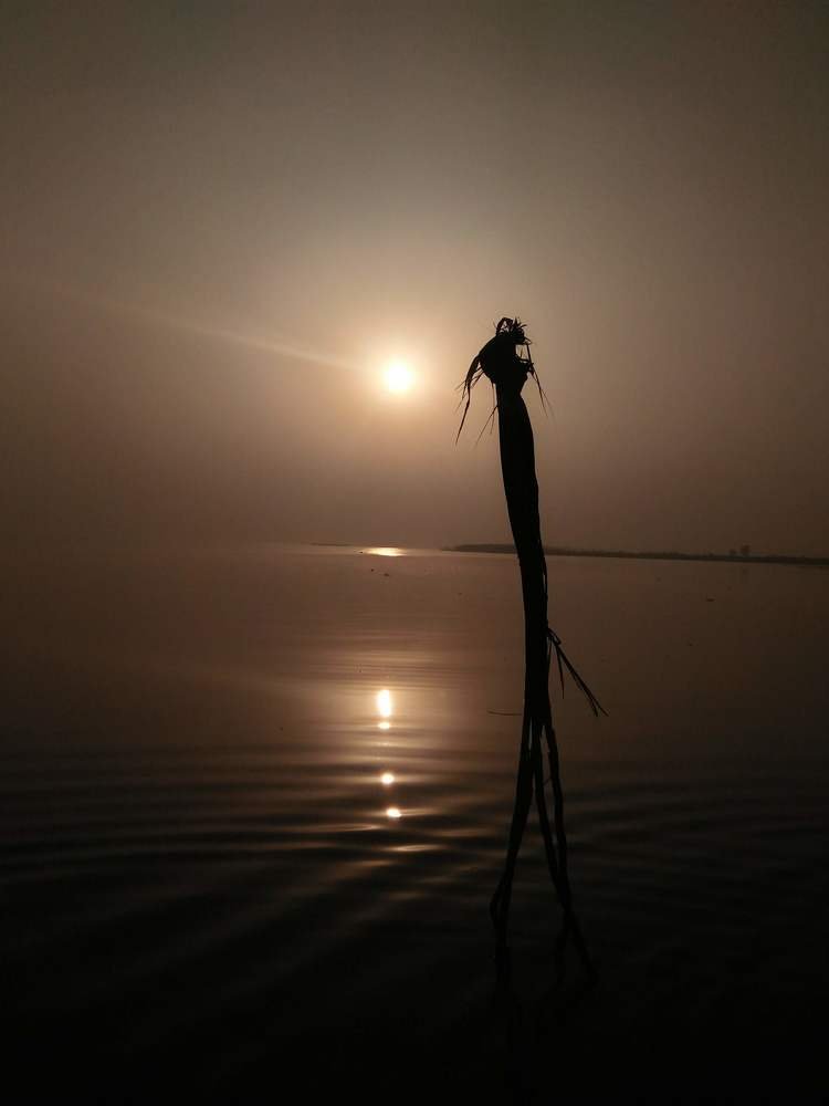 Photograph by Diwaker