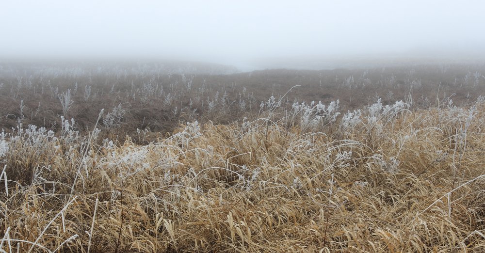 Photograph by Герман