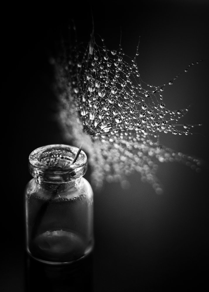 Photograph by Ольга Распопова