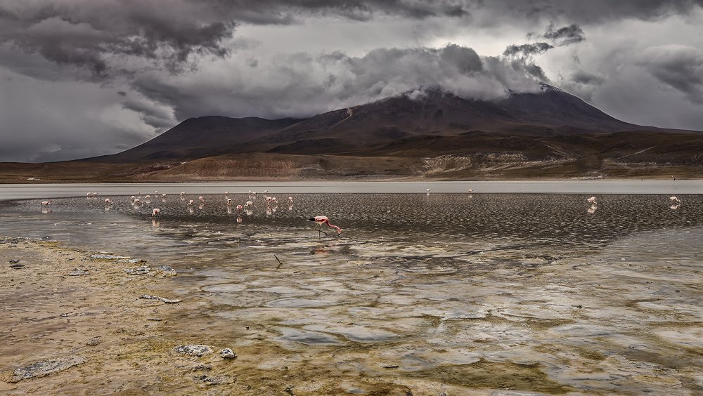 Photograph by jorge luis Dal Bianco