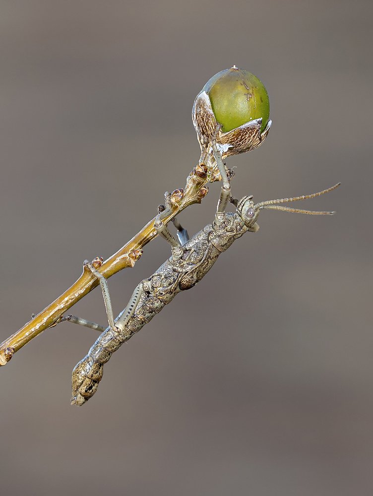 Photograph by jorge luis Dal Bianco