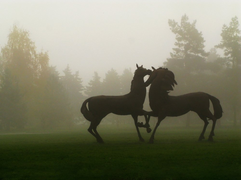 Photograph by Rimma Volchenko