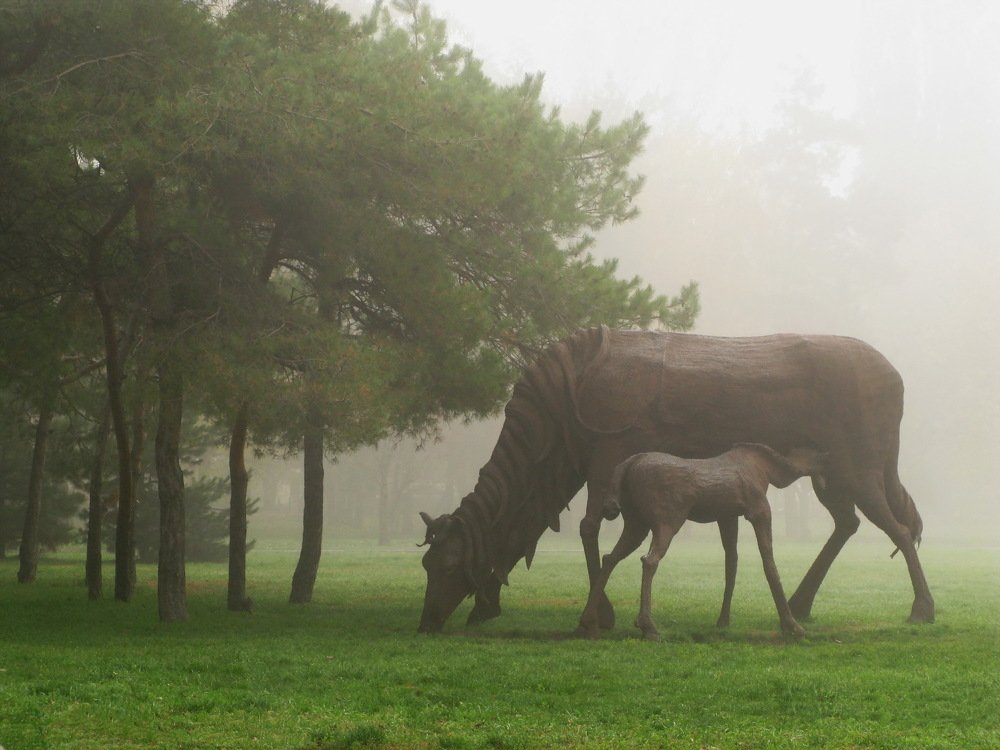 Photograph by Rimma Volchenko