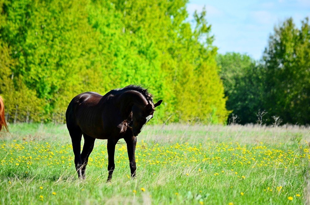 Photograph by Сергей Торхов