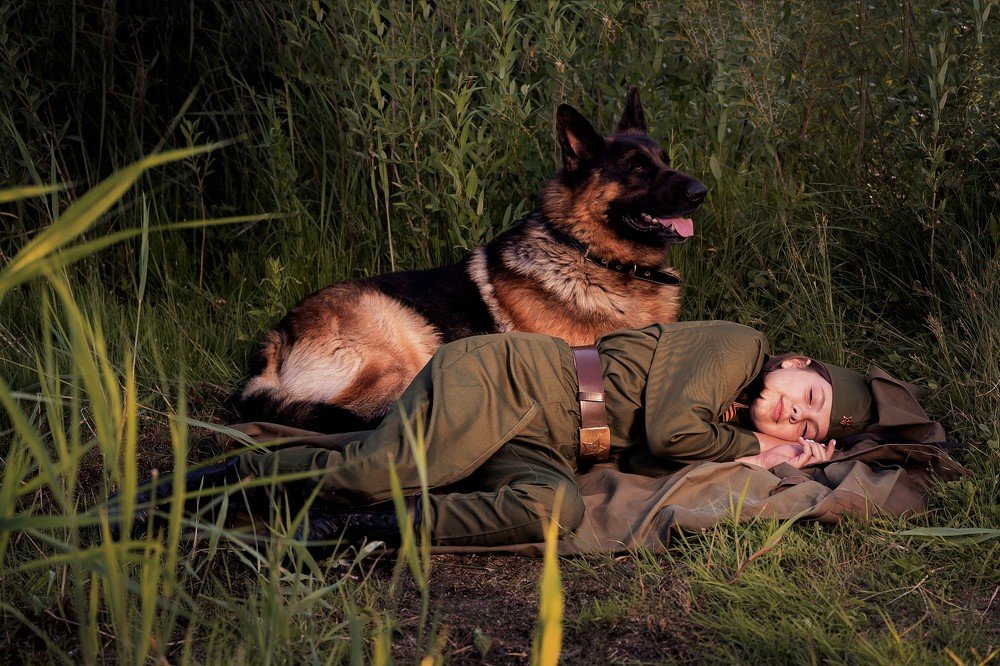 Верные друзья