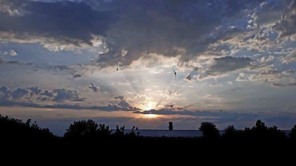 Photograph by Инга Халиуллина