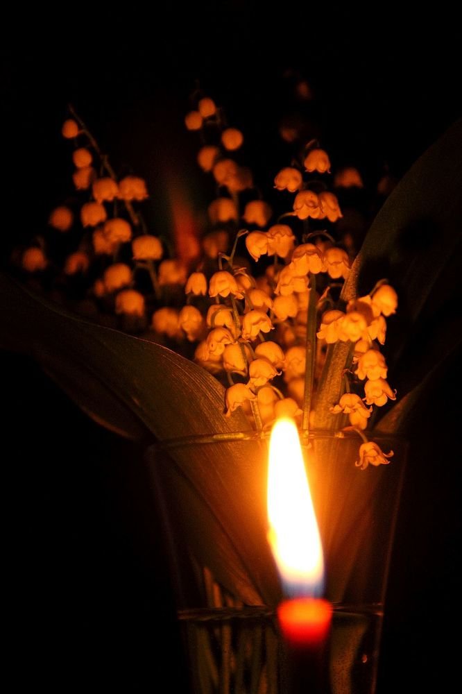 Photograph by 