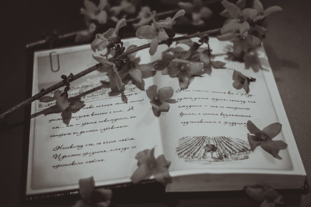 Photograph by Елена Буканина