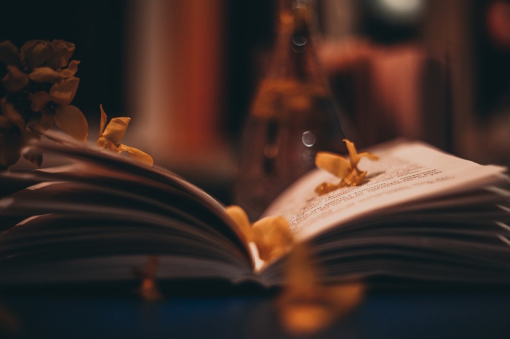 Photograph by Елена Буканина