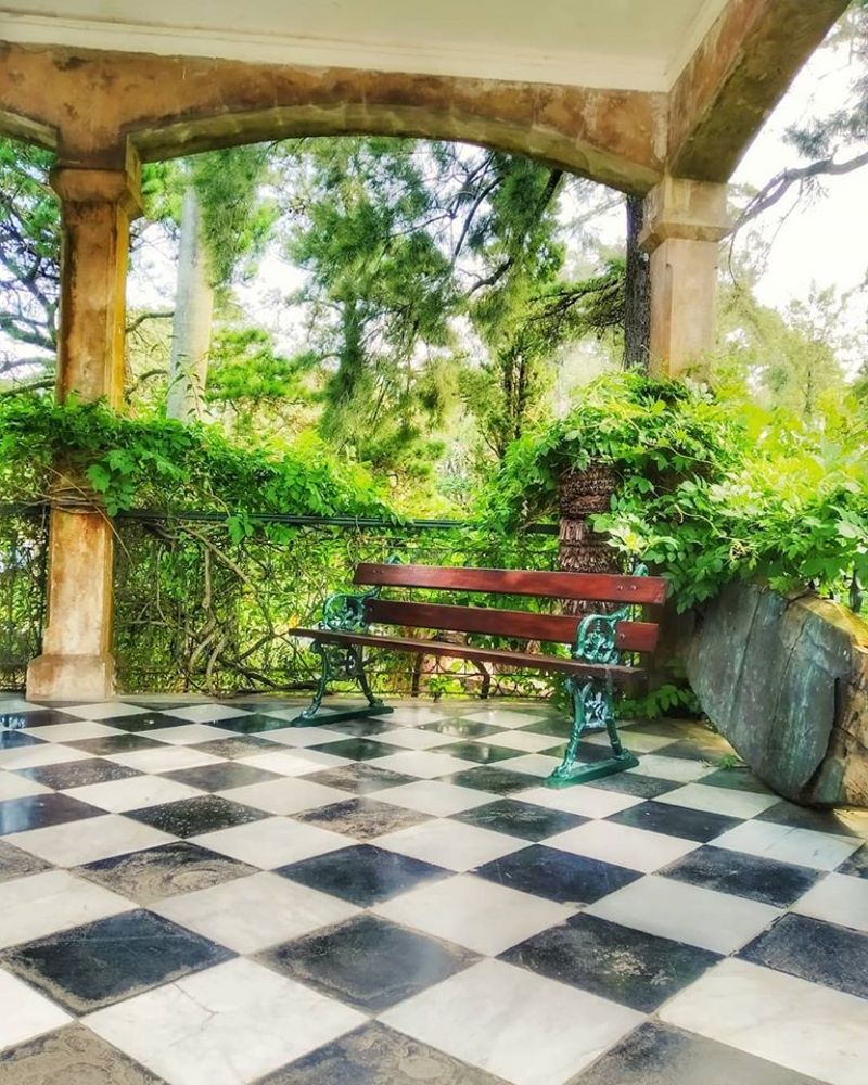 Photograph by Rosy Grass