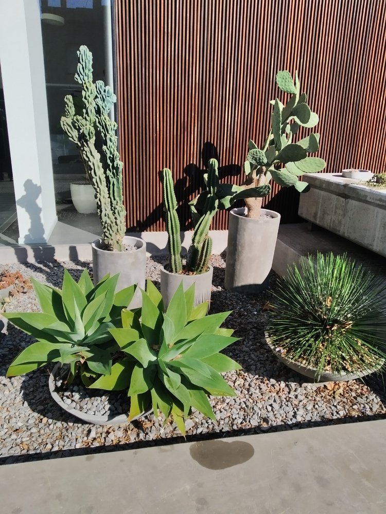 Photograph by Rosy Grass