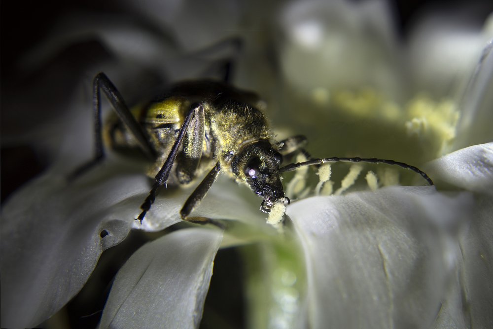 Photograph by Дериглазова Марина Владимировна