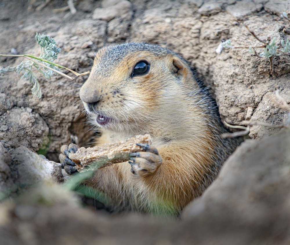 Photograph by петр чиков