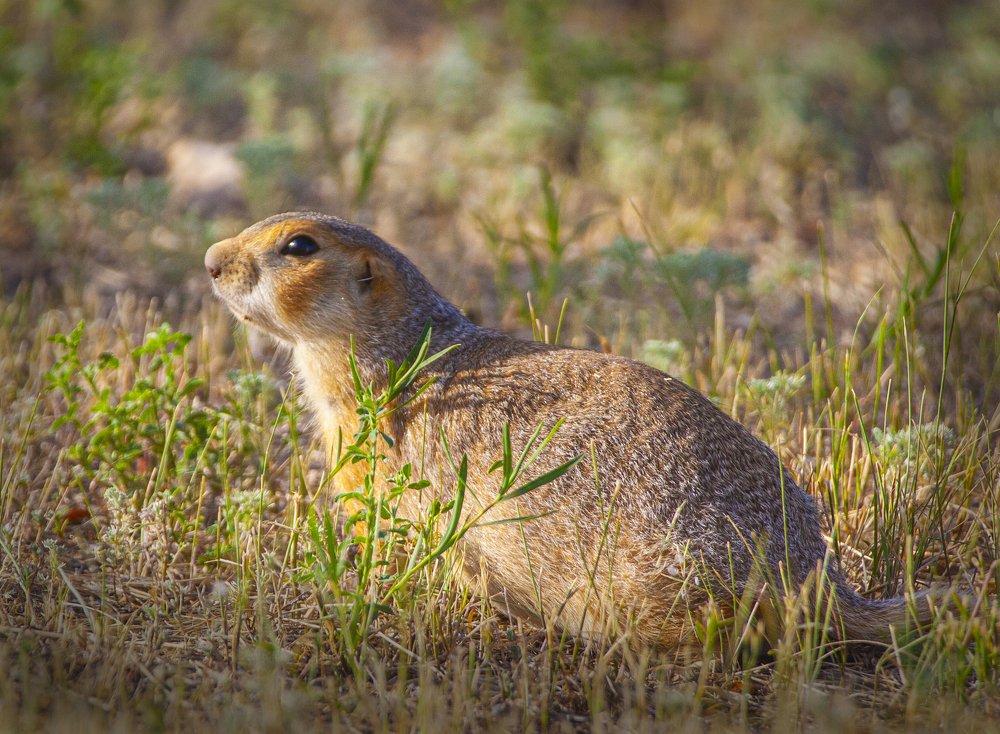Photograph by петр чиков