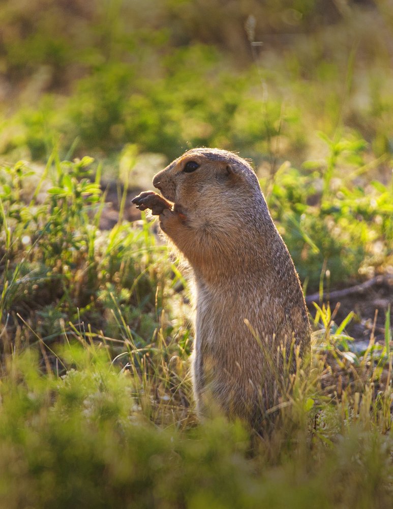 Photograph by петр чиков