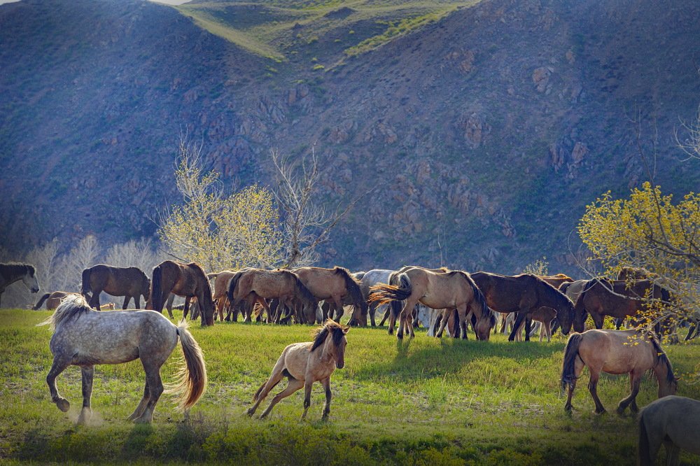 Photograph by петр чиков