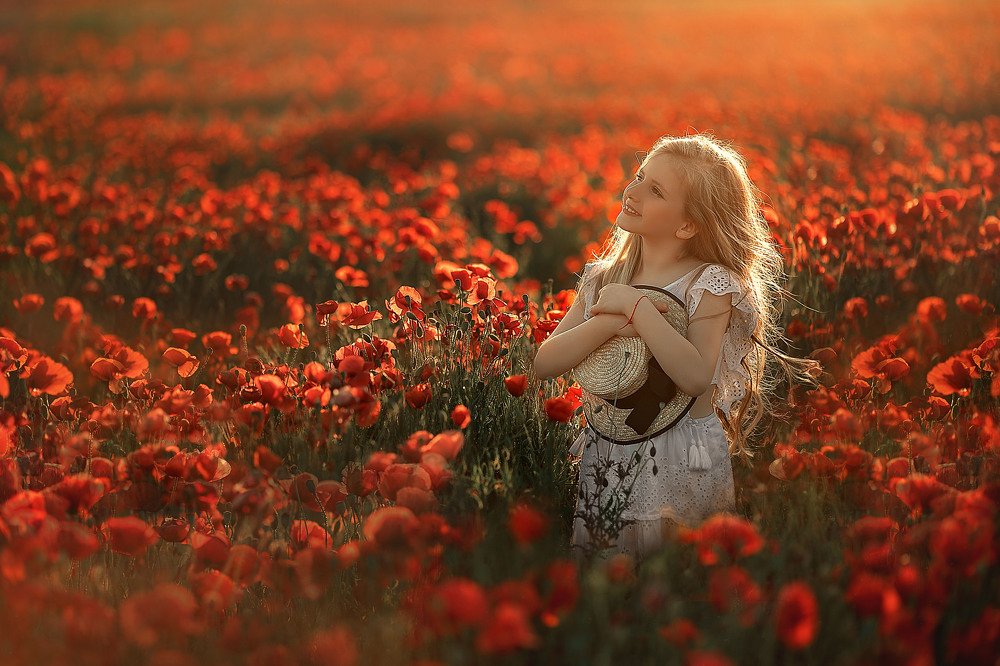 Фотография автора Анна Домбровская