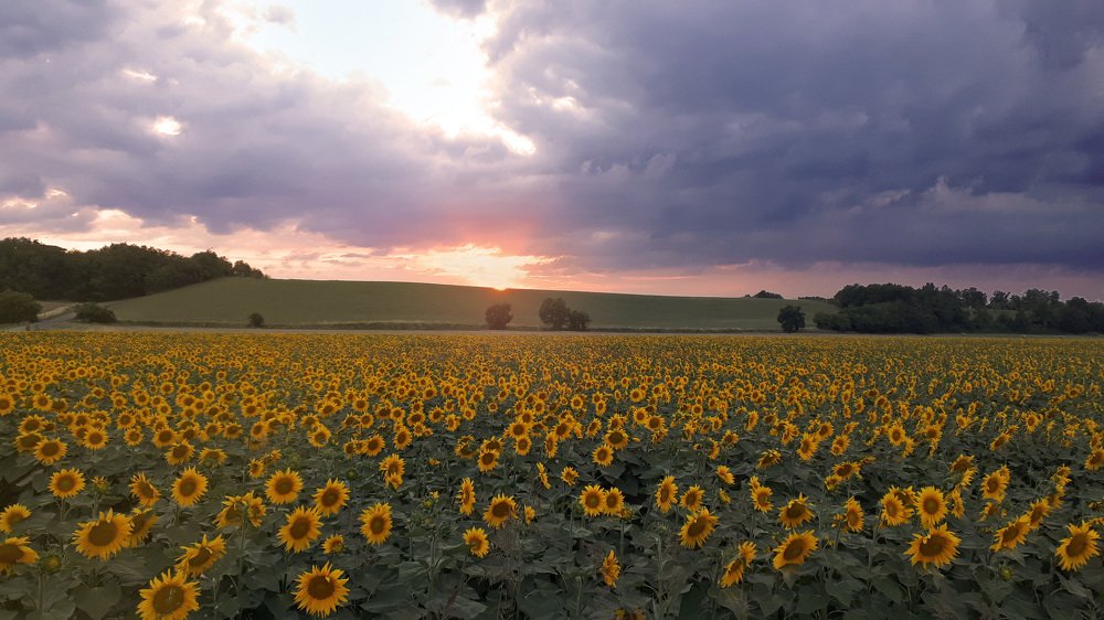 Tramonto sulle colline di Piacenza (Vigolzone - Emilia Romagna - Italy).