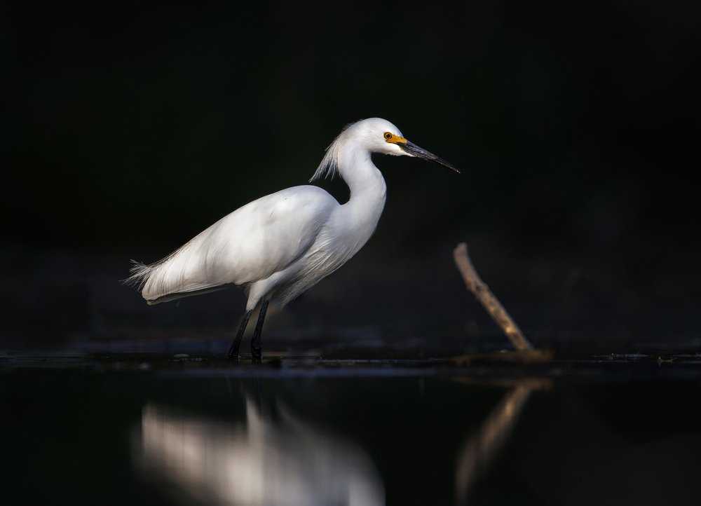 Photograph by jorge luis Dal Bianco