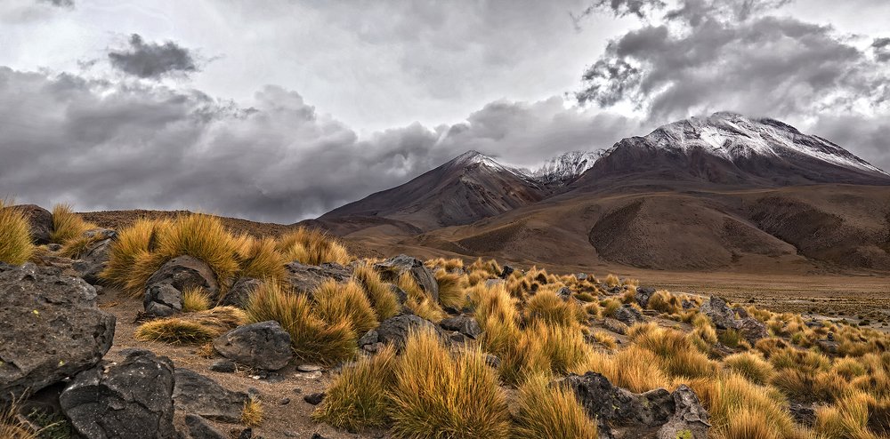 Photograph by jorge luis Dal Bianco