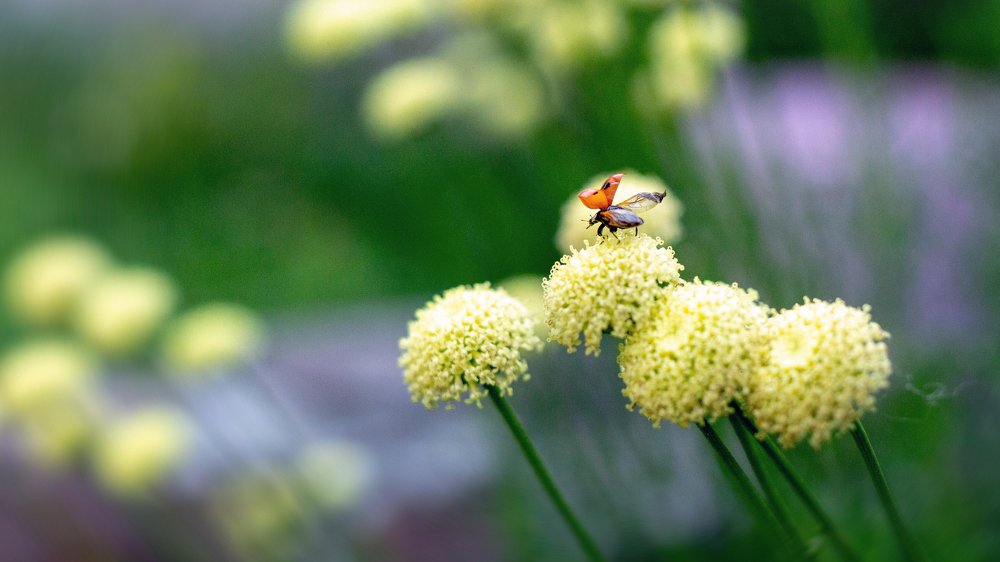 Photograph by Виктория Бурова