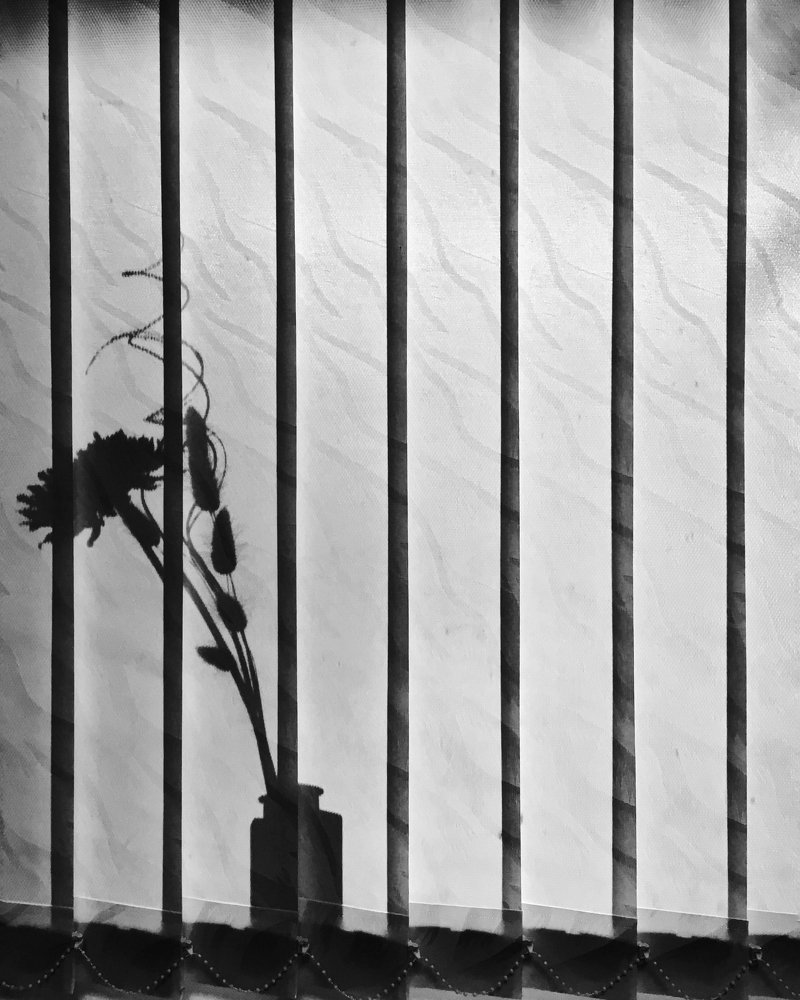 Фотография автора Артемий Николаевич