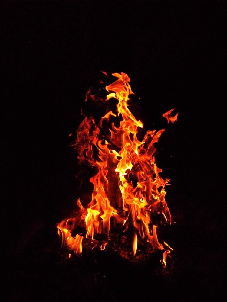 Photograph by Bistupada Mondal