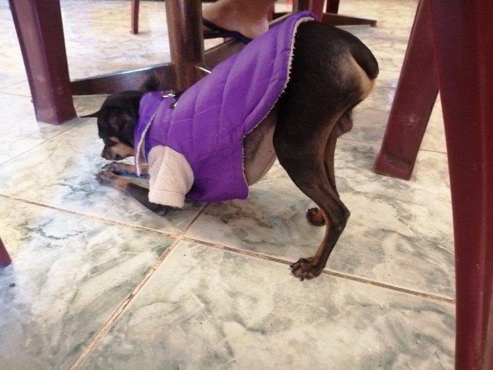 Photo #4692042