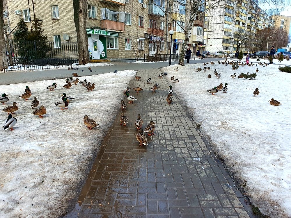 Photograph by Игорь Котляревский