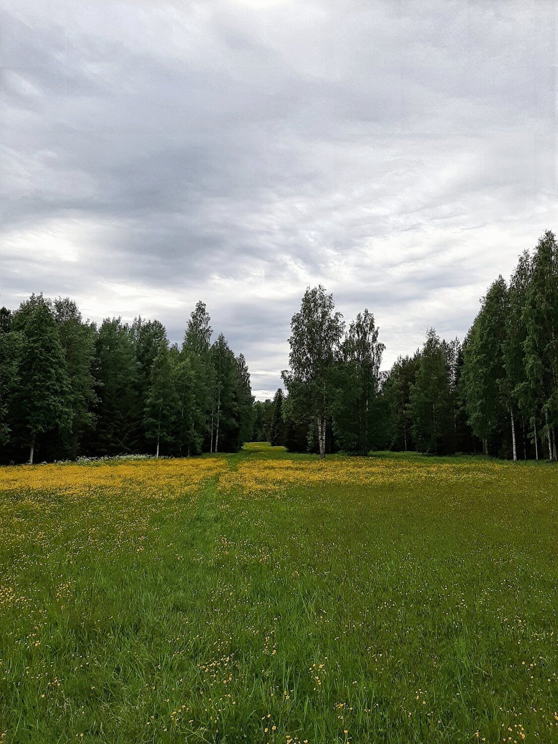 Photo #4692107