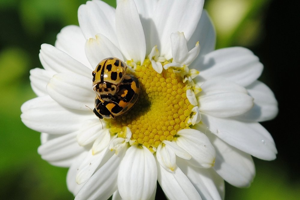 Photograph by Yroslava Veretina