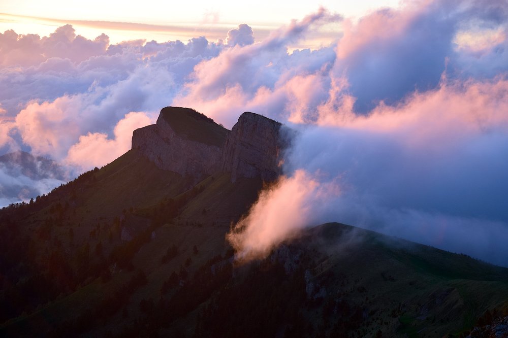 Photograph by Margo Margo