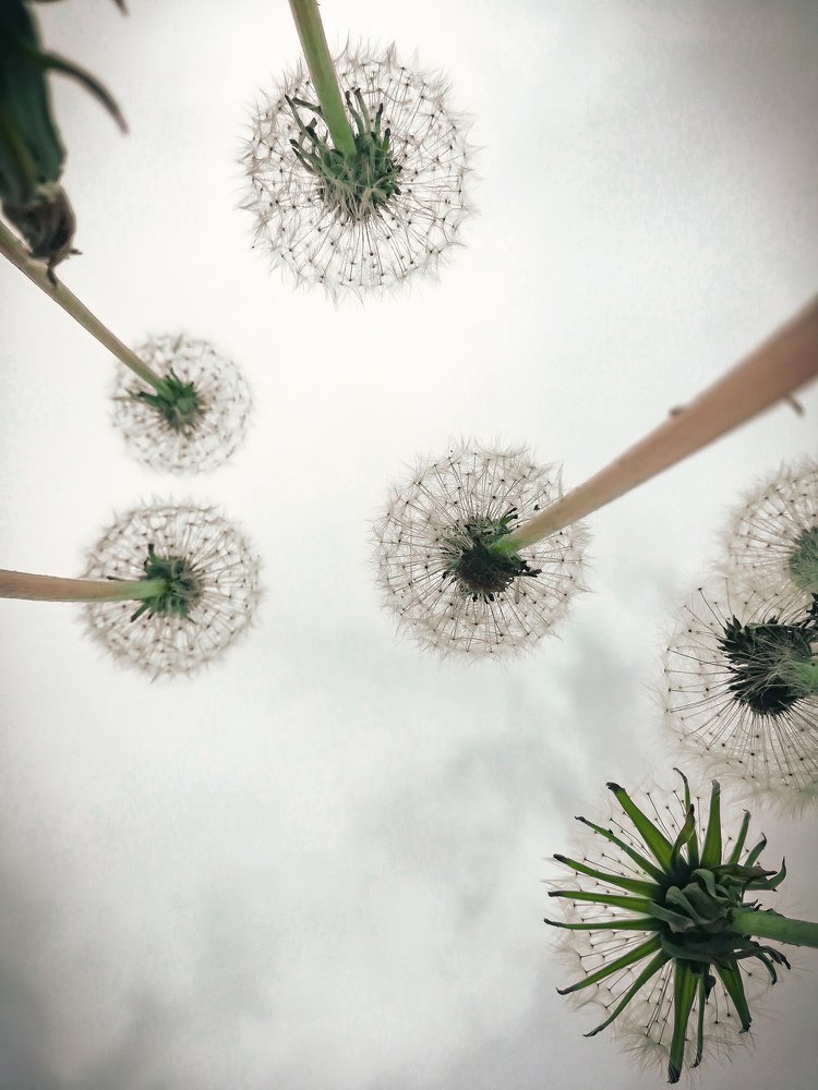 Photograph by Анастасия Сахаревич