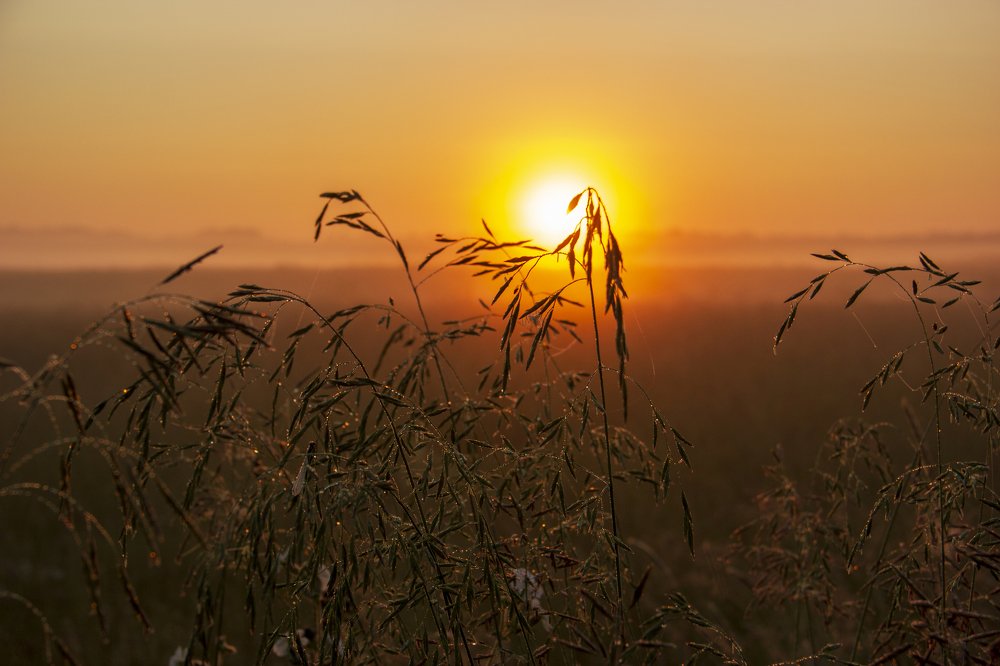 восходящее солнце
