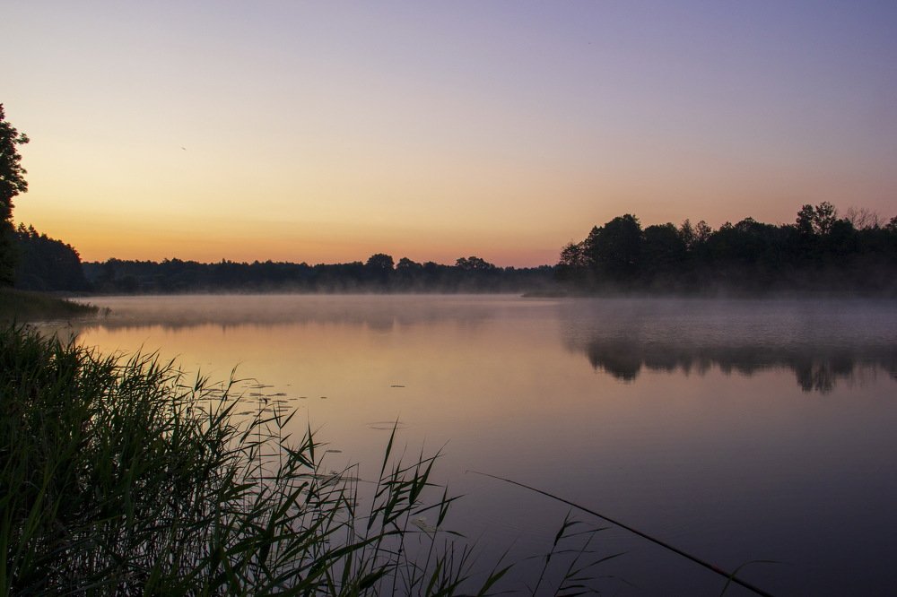 утро на озере